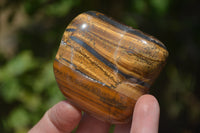 Polished Tiger's Eye Free Forms x 12 From Prieska, South Africa