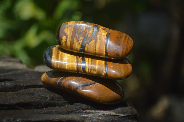 Polished Tiger's Eye Free Forms x 12 From Prieska, South Africa