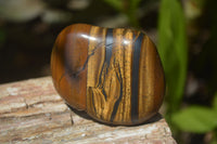 Polished Tiger's Eye Free Forms x 12 From Prieska, South Africa