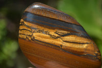 Polished Tiger's Eye Free Forms x 12 From Prieska, South Africa