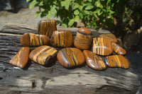Polished Tiger's Eye Free Forms x 12 From Prieska, South Africa