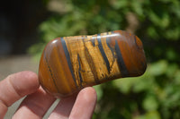 Polished Tiger's Eye Free Forms x 12 From Prieska, South Africa