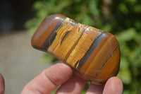 Polished Tiger's Eye Free Forms x 12 From Prieska, South Africa