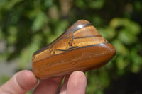 Polished Tiger's Eye Free Forms x 12 From Prieska, South Africa