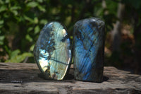 Polished Labradorite Standing Free Forms x 2 From Madagascar - Toprock Gemstones and Minerals 