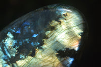 Polished Labradorite Standing Free Forms x 2 From Madagascar - Toprock Gemstones and Minerals 