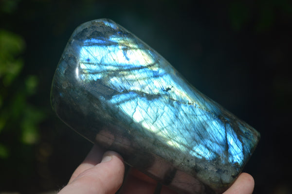 Polished Labradorite Standing Free Forms x 2 From Madagascar - Toprock Gemstones and Minerals 