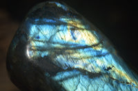 Polished Labradorite Standing Free Forms x 2 From Madagascar - Toprock Gemstones and Minerals 