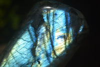 Polished Labradorite Standing Free Forms x 2 From Madagascar - Toprock Gemstones and Minerals 
