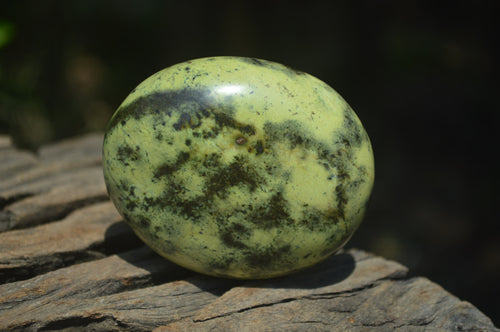 Polished Leopard Stone Free Forms x 6 From Zimbabwe - Toprock Gemstones and Minerals 