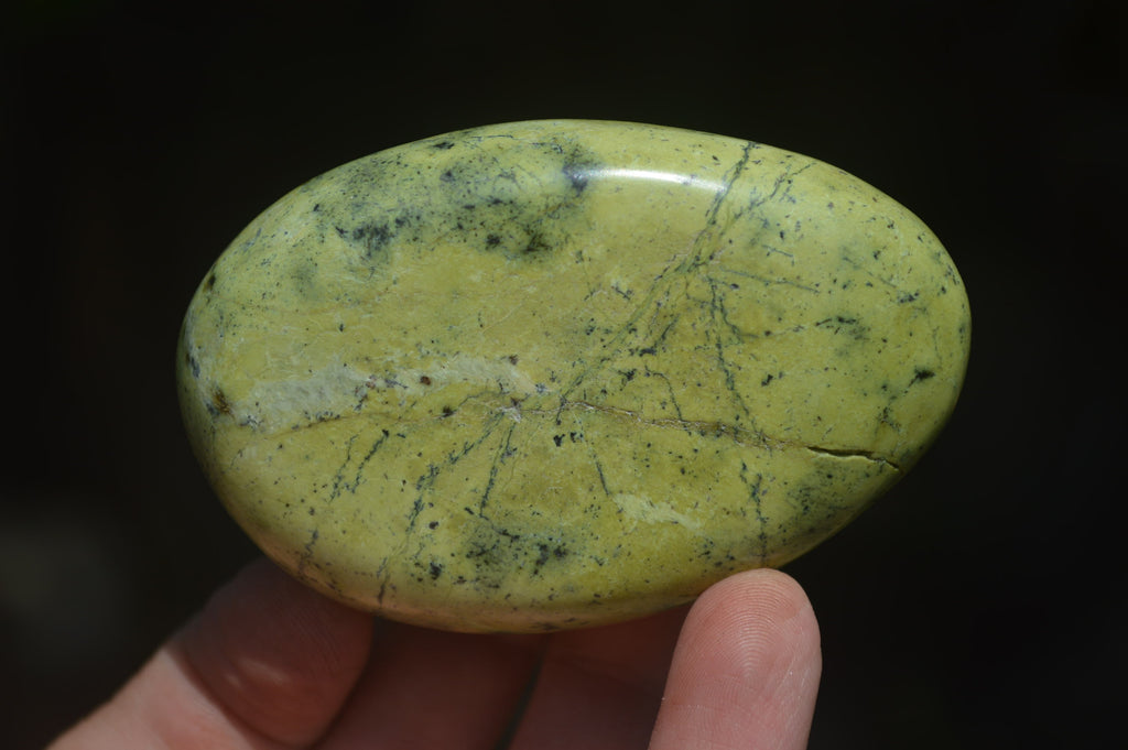 Polished Leopard Stone Free Forms x 6 From Zimbabwe - Toprock Gemstones and Minerals 