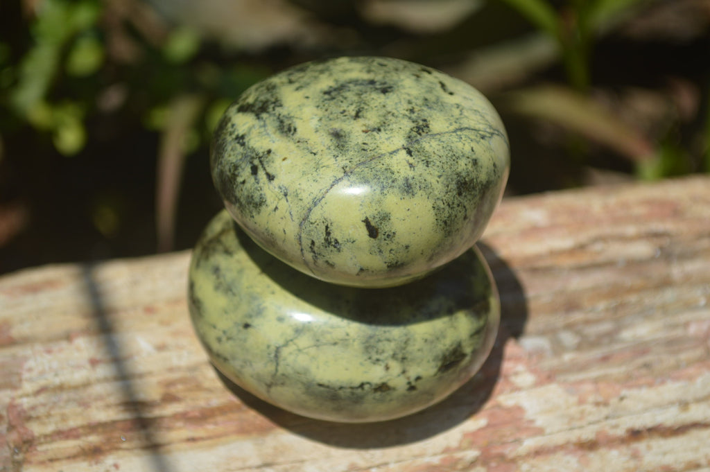 Polished Leopard Stone Free Forms x 6 From Zimbabwe - Toprock Gemstones and Minerals 