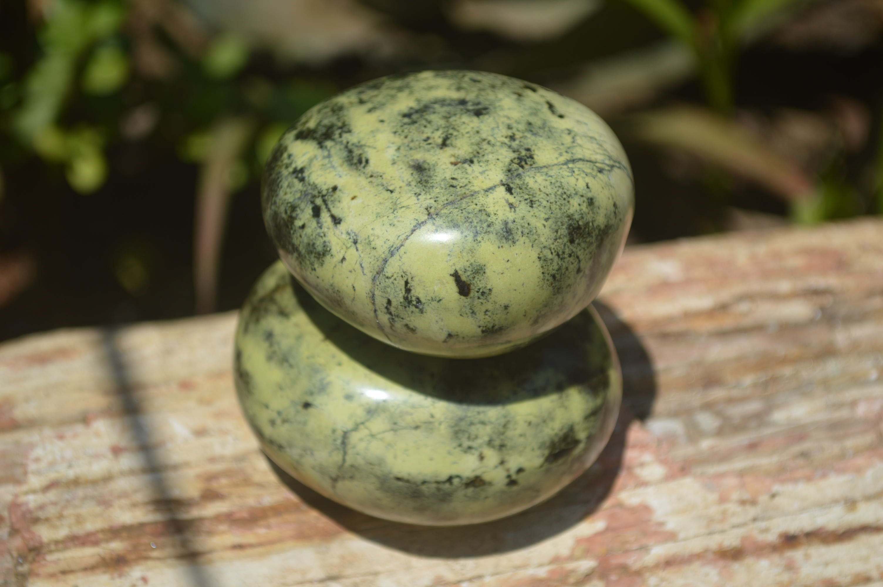 Polished Leopard Stone Free Forms x 6 From Zimbabwe - Toprock Gemstones and Minerals 