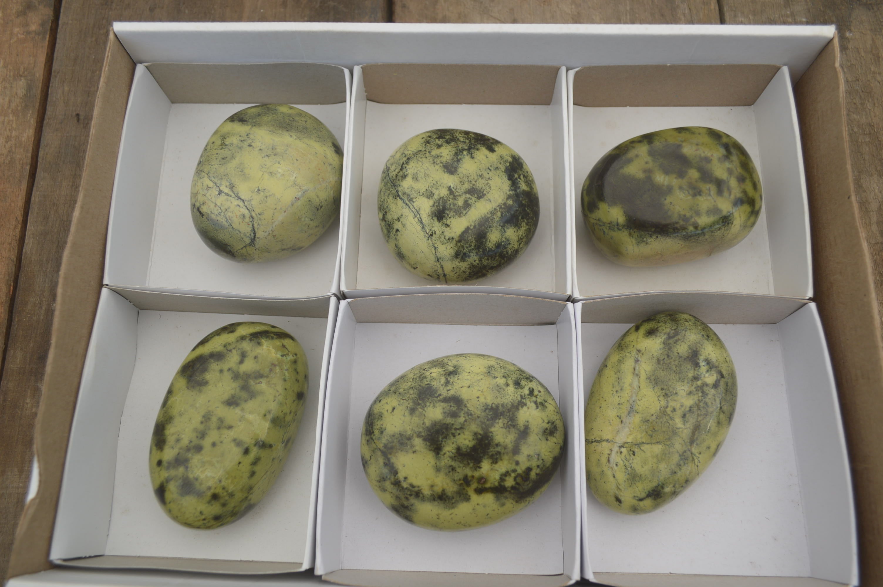 Polished Leopard Stone Free Forms x 6 From Zimbabwe - Toprock Gemstones and Minerals 