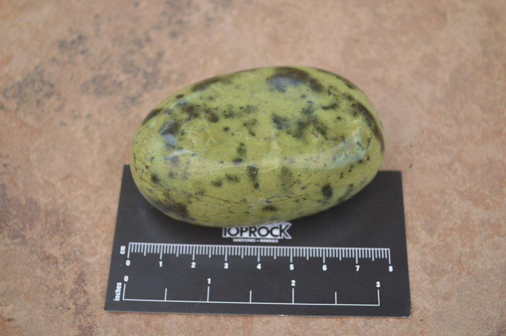 Polished Leopard Stone Free Forms x 6 From Zimbabwe - Toprock Gemstones and Minerals 