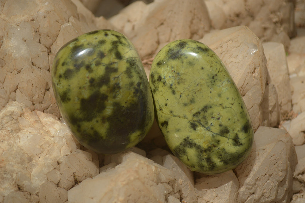 Polished Leopard Stone Free Forms x 6 From Zimbabwe - Toprock Gemstones and Minerals 
