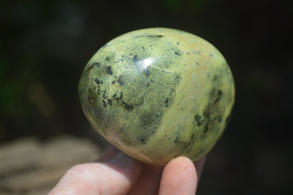 Polished Leopard Stone Free Forms x 6 From Zimbabwe - Toprock Gemstones and Minerals 