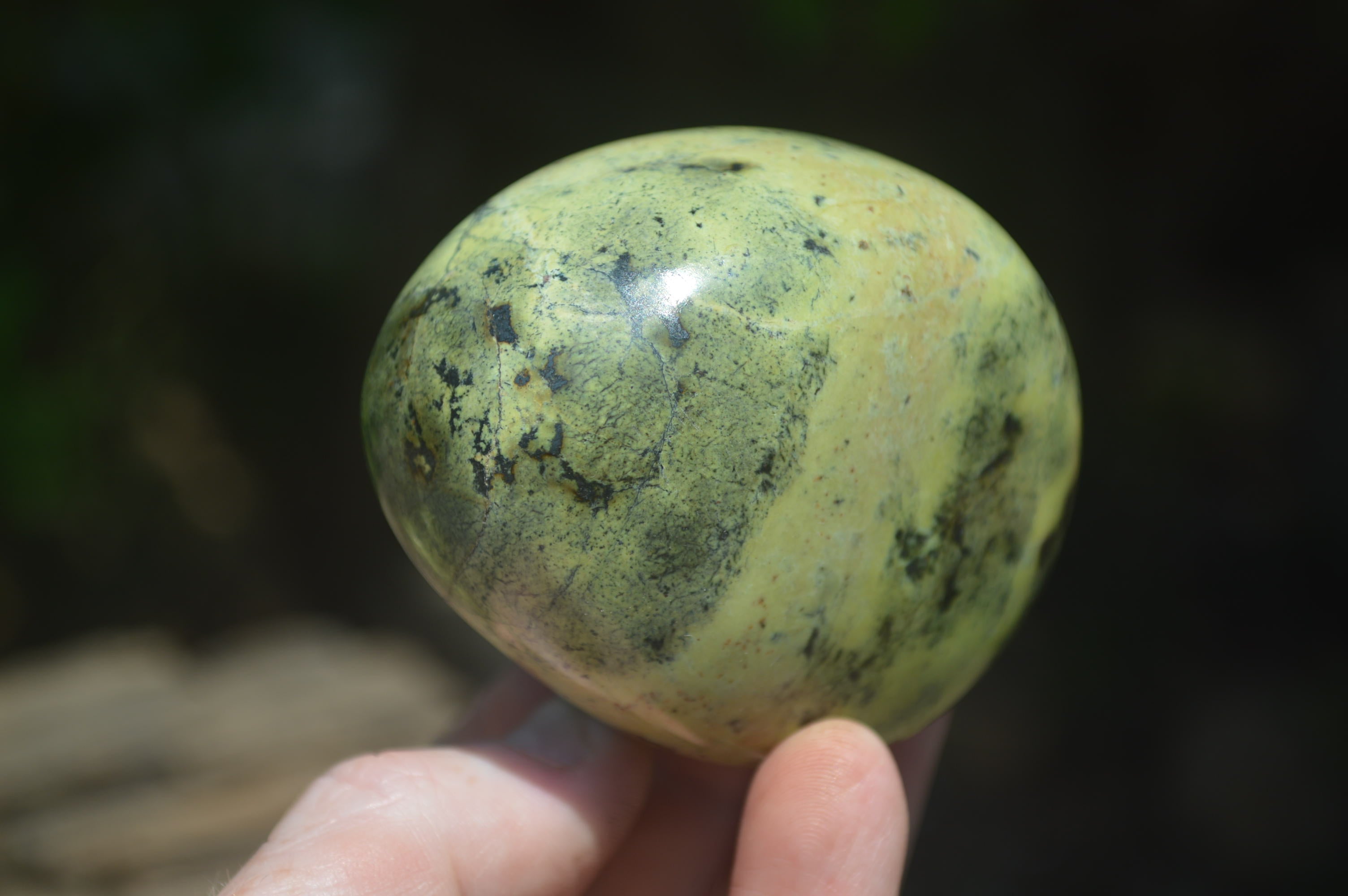 Polished Leopard Stone Free Forms x 6 From Zimbabwe - Toprock Gemstones and Minerals 