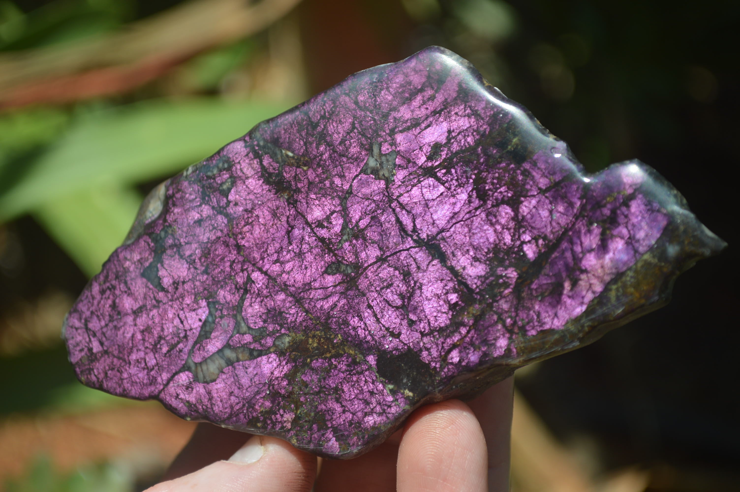 Polished On One Side Metallic Purpurite x 6 From Namibia - Toprock Gemstones and Minerals 