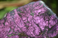 Polished On One Side Metallic Purpurite x 6 From Namibia - Toprock Gemstones and Minerals 