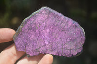 Polished On One Side Metallic Purpurite x 6 From Namibia - Toprock Gemstones and Minerals 