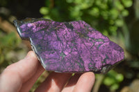 Polished On One Side Metallic Purpurite x 6 From Namibia - Toprock Gemstones and Minerals 