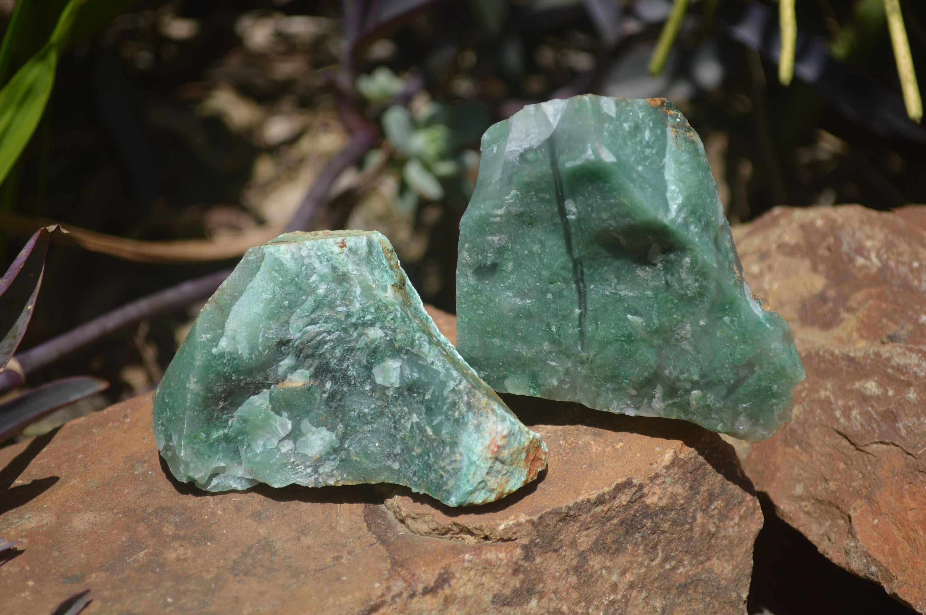 Natural Swazi Jade Cobbed Specimens x 12 from Swaziland - Toprock Gemstones and Minerals 