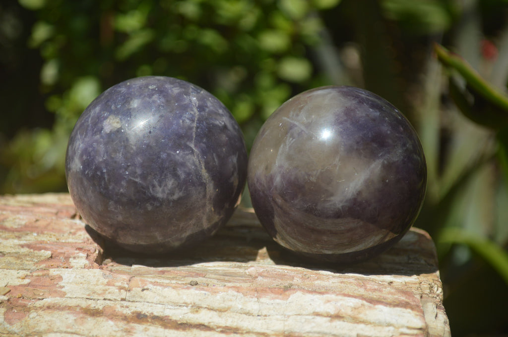 Polished Lepidolite with Pink Rubellite Spheres x 6 From Ambatondrazaka, Madagascar - Toprock Gemstones and Minerals 