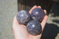 Polished Lepidolite with Pink Rubellite Spheres x 6 From Ambatondrazaka, Madagascar - Toprock Gemstones and Minerals 