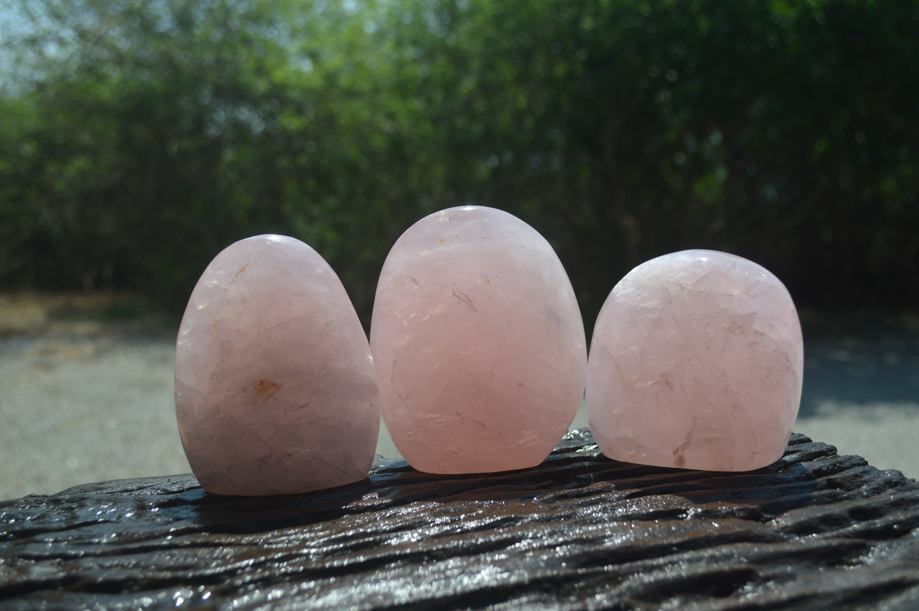 Polished Rose Quartz Standing Free Forms x 4 From Madagascar - Toprock Gemstones and Minerals 