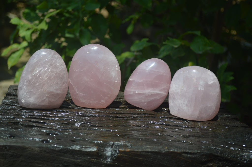 Polished Rose Quartz Standing Free Forms x 4 From Madagascar - Toprock Gemstones and Minerals 