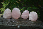 Polished Rose Quartz Standing Free Forms x 4 From Madagascar - Toprock Gemstones and Minerals 