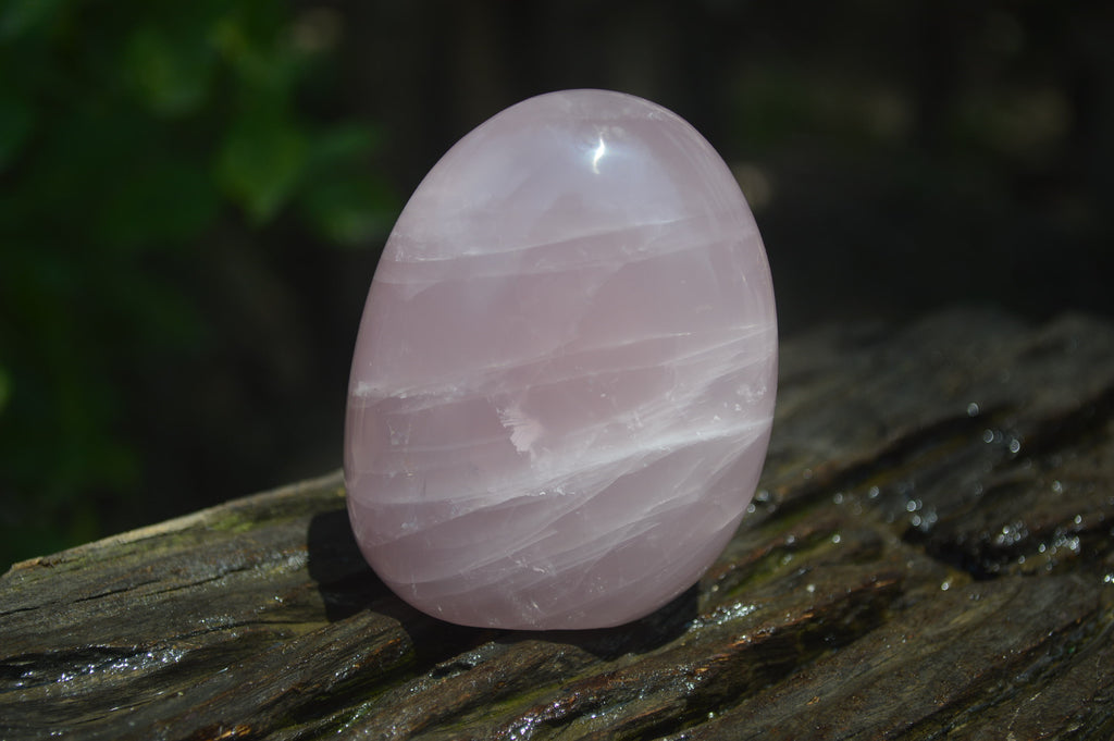Polished Rose Quartz Standing Free Forms x 4 From Madagascar - Toprock Gemstones and Minerals 