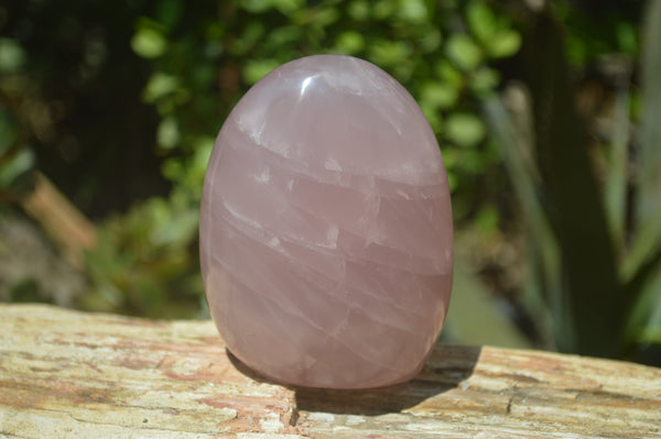 Polished Rose Quartz Standing Free Forms x 4 From Madagascar - Toprock Gemstones and Minerals 