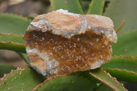 Natural Limonite Quartz Clusters x 5 From Solwezi, Zambia - Toprock Gemstones and Minerals 