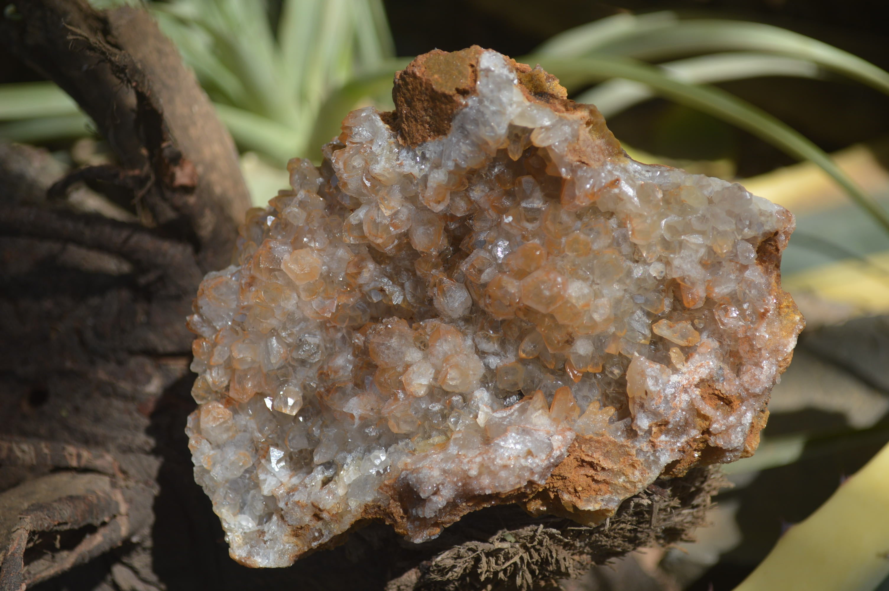 Natural Limonite Quartz Clusters x 5 From Solwezi, Zambia - Toprock Gemstones and Minerals 