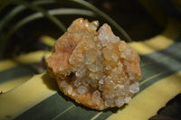 Natural Limonite Quartz Clusters x 5 From Solwezi, Zambia - Toprock Gemstones and Minerals 