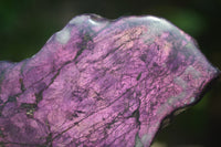 Polished On One Side Purpurite x 4 From Namibia - Toprock Gemstones and Minerals 