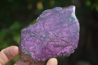 Polished On One Side Purpurite x 4 From Namibia - Toprock Gemstones and Minerals 