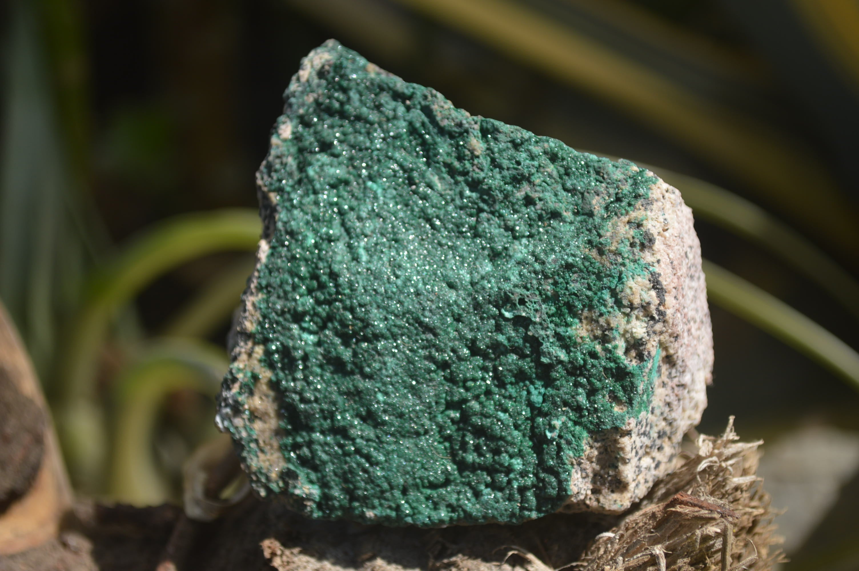 Natural Botryoidal Malachite Specimens x 6 From Tenke Fungurume, Congo - Toprock Gemstones and Minerals 