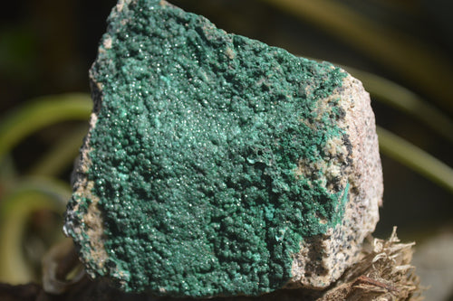 Natural Botryoidal Malachite Specimens x 6 From Tenke Fungurume, Congo - Toprock Gemstones and Minerals 