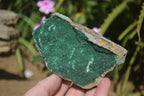 Natural Botryoidal Malachite Specimens x 6 From Tenke Fungurume, Congo - Toprock Gemstones and Minerals 