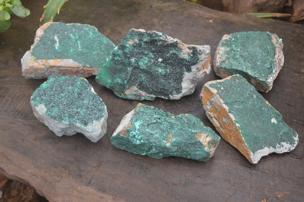 Natural Botryoidal Malachite Specimens x 6 From Tenke Fungurume, Congo - Toprock Gemstones and Minerals 