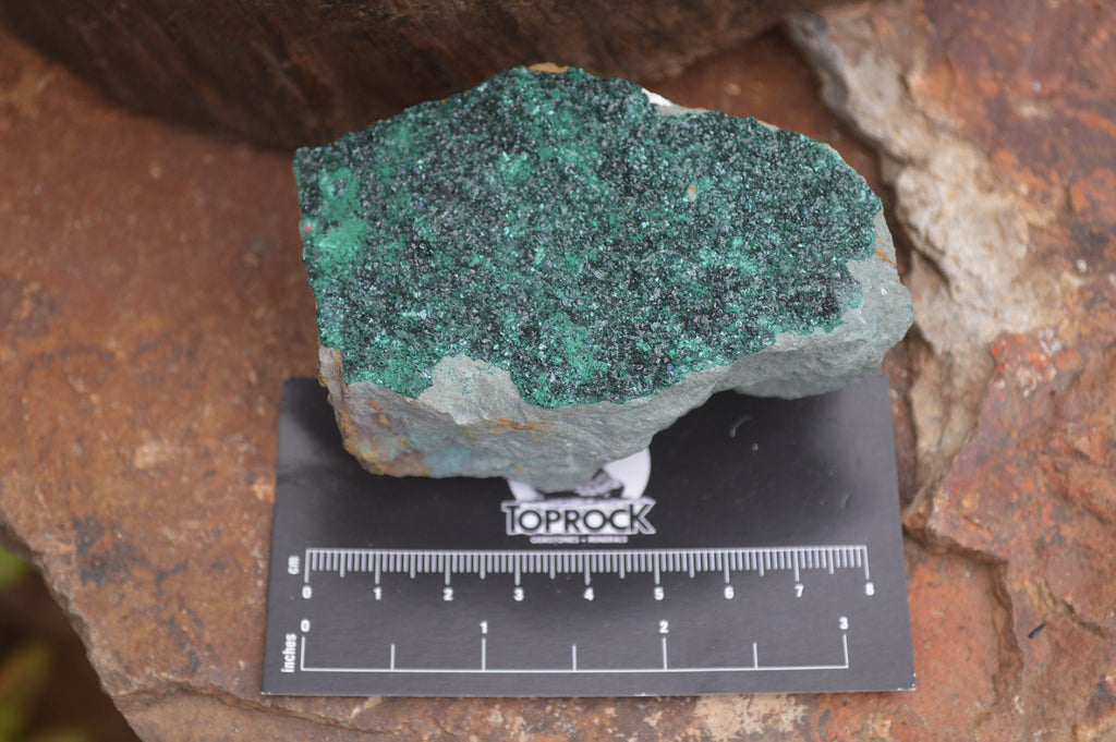 Natural Botryoidal Malachite Specimens x 6 From Tenke Fungurume, Congo - Toprock Gemstones and Minerals 