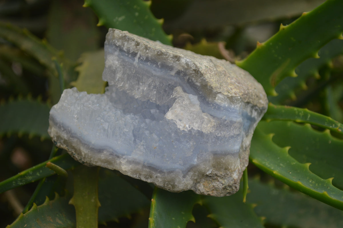 Natural Blue Lace Agate Geode Specimens x 6 From Malawi - Toprock Gemstones and Minerals 