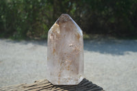 Polished Smokey Window Quartz Crystal x 1 From Madagascar - Toprock Gemstones and Minerals 