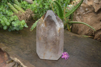 Polished Smokey Window Quartz Crystal x 1 From Madagascar - Toprock Gemstones and Minerals 