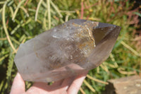 Polished Smokey Window Quartz Crystal x 1 From Madagascar - Toprock Gemstones and Minerals 