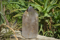 Polished Smokey Window Quartz Crystal x 1 From Madagascar - Toprock Gemstones and Minerals 