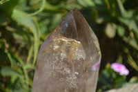 Polished Smokey Window Quartz Crystal x 1 From Madagascar - Toprock Gemstones and Minerals 